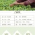 云南茶叶普洱绿茶新茶毛尖甘肃临夏翠茗春尖浓香型滇绿嫩