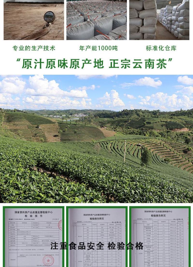 云南茶叶普洱绿茶新茶毛尖甘肃临夏翠茗春尖浓香型滇绿嫩