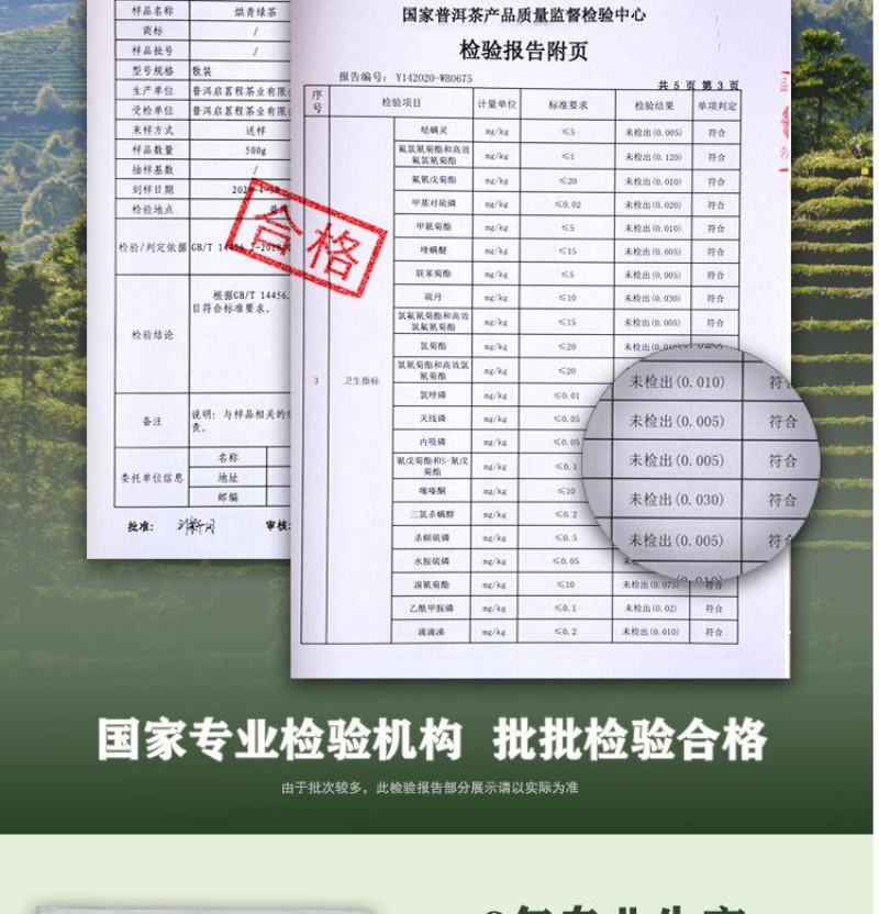 云南茶叶普洱绿茶新茶毛尖甘肃临夏翠茗春尖浓香型滇绿嫩