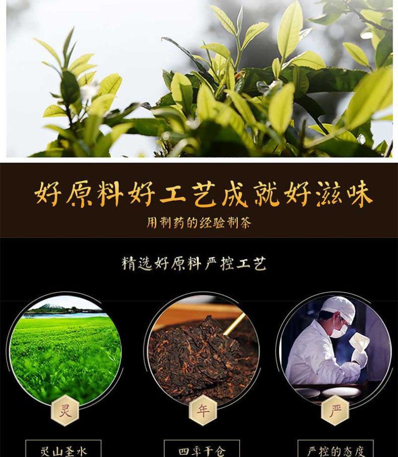 云南景迈山晒红茶浓香型叶春茶花蜜香甜澜沧滇红茶