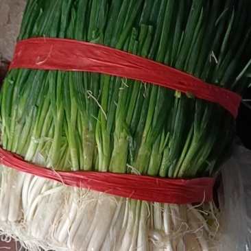 云南高质量小香葱批发