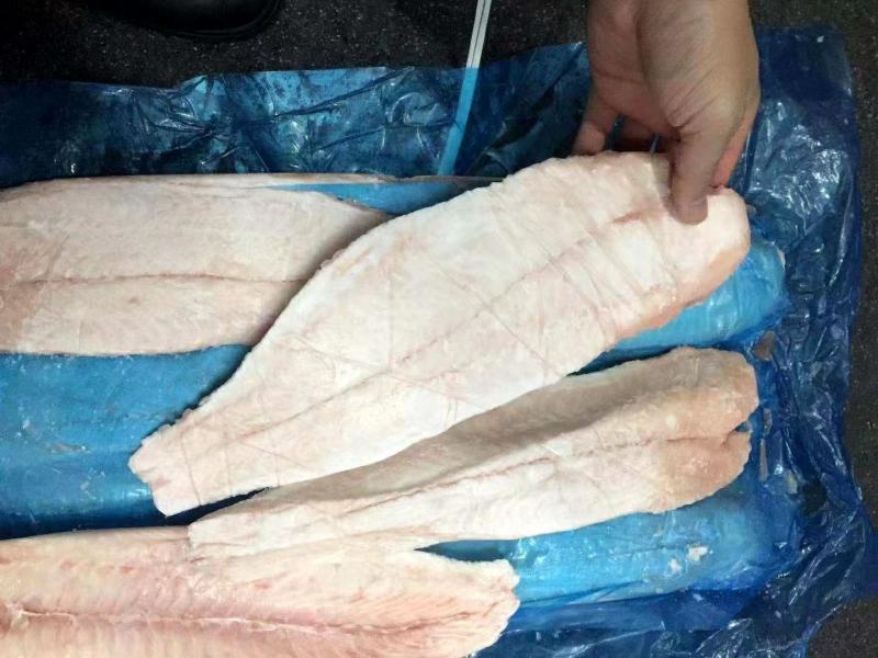 不泡药原料板冻鱼柳，加工厂必备
