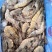 盐冻虾大虾海浦大虾厄瓜多尔白虾