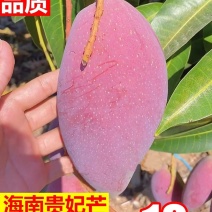 海南贵妃10斤装大果新鲜现摘芒果红金龙【一件】