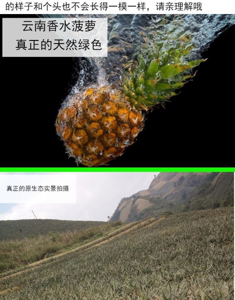 云南香水菠萝当季新鲜水果批发包邮带箱10斤多省包邮免运费