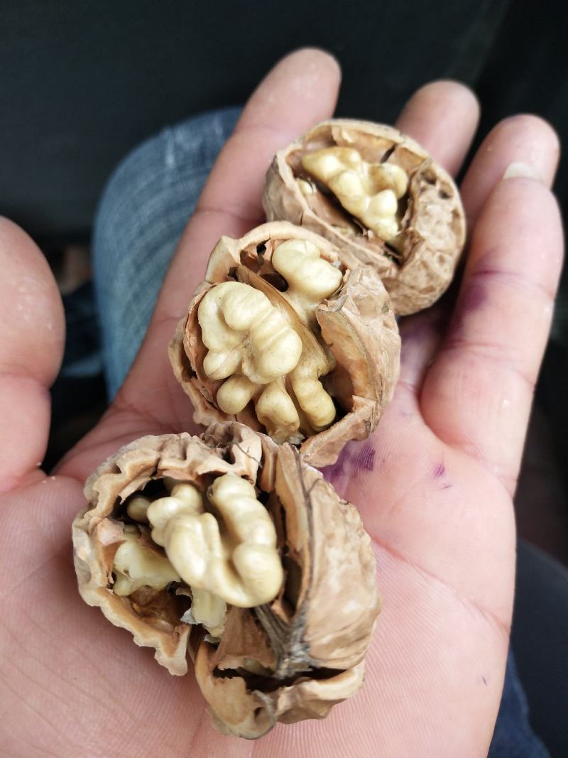 核桃仁，新疆核桃仁，批发零售量大优惠！全国发货
