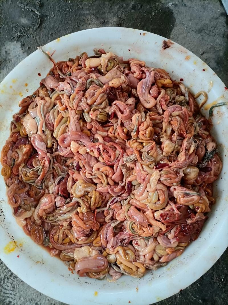 肉鸽子，各种鸽子内脏，鸽胗新鲜保存，现货，货源充足全国发
