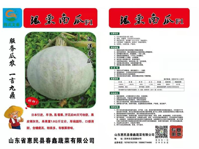 银栗南瓜种子，700粒装，批发，零售，基地供应