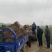 柑橘新品种沃柑树苗091无核沃柑苗南北方种植可盆栽地栽