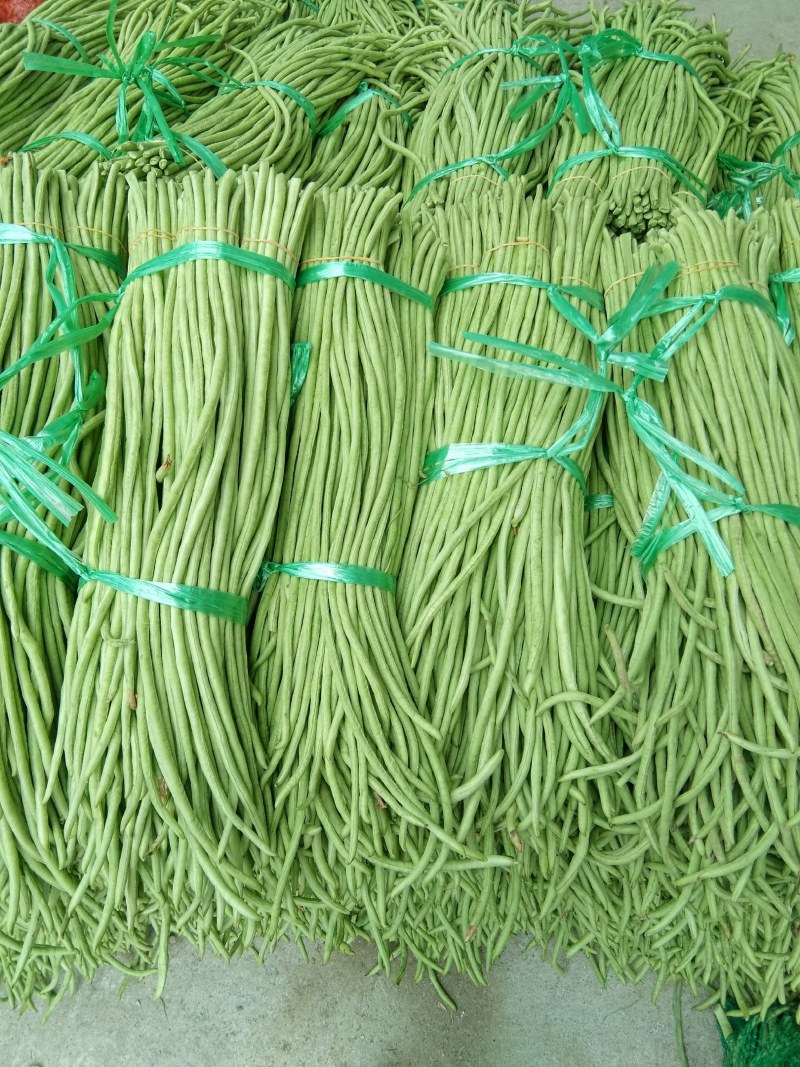 四季豆，大量上市，价格便宜，需要的老板请联系