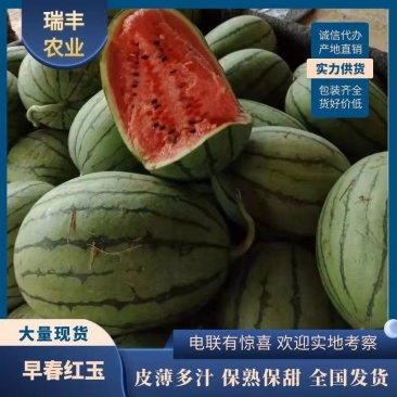 西瓜/早春红玉西瓜/2k西瓜/小糖丸西瓜/山东西瓜