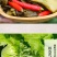 【一件代发】400g*5袋共2000克老坛酸菜超值包邮