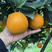广西桂林高山夏橙，鲜美多汁，支持平台对接，整车供应链