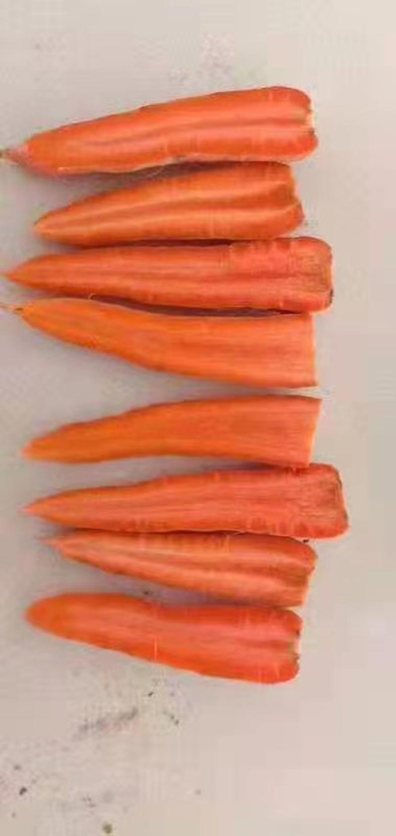 胡萝卜冷库胡萝卜。大量供应，冷库货。北京包。市场，电商都