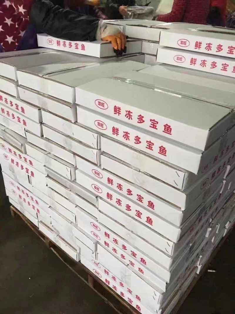 2.5元每条出每条175克2.8条一斤多宝鱼大量有货欢