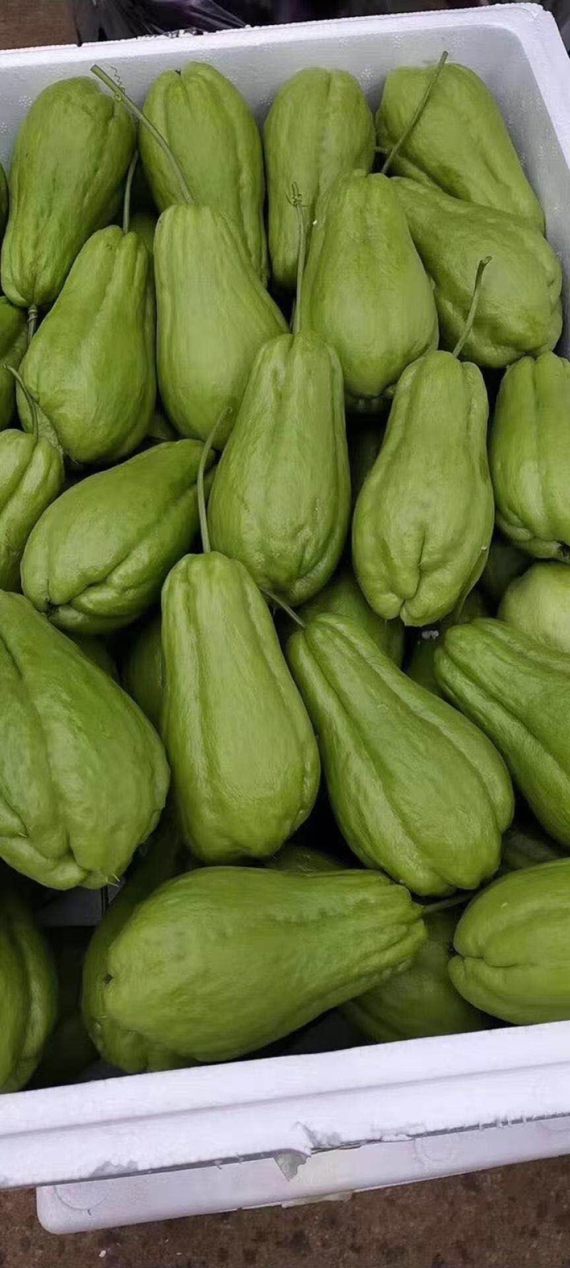 佛手瓜！x新鲜辣子！新鲜蔬菜🥬保证质量