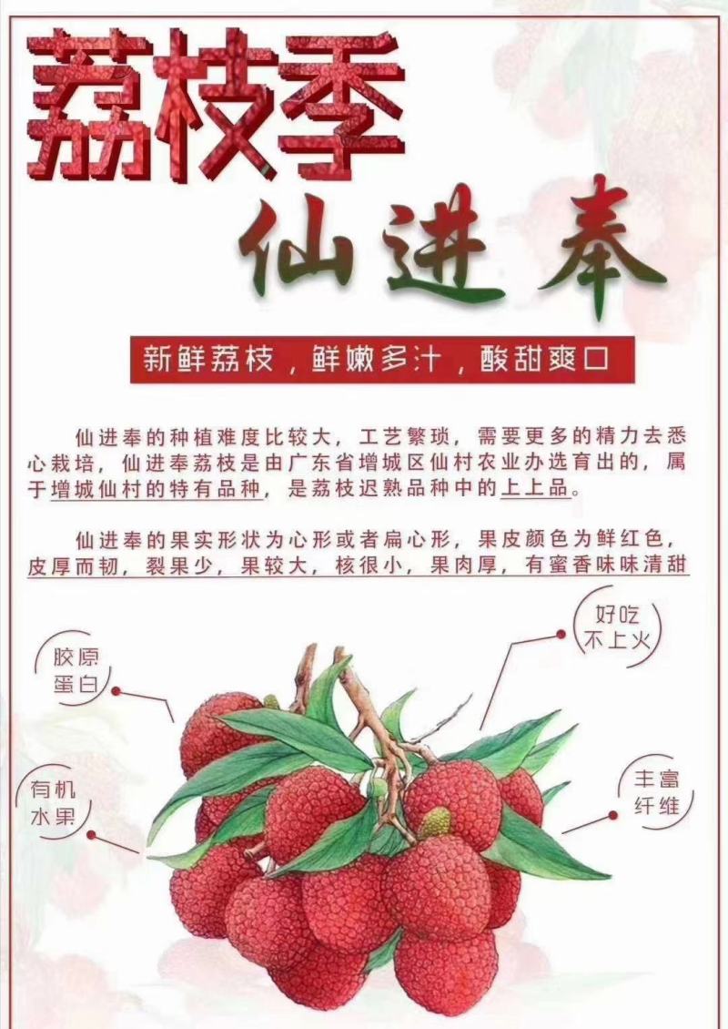 荔枝树苗新品种观音绿仙进奉无核荔枝嫁接苗南北方可盆栽地栽