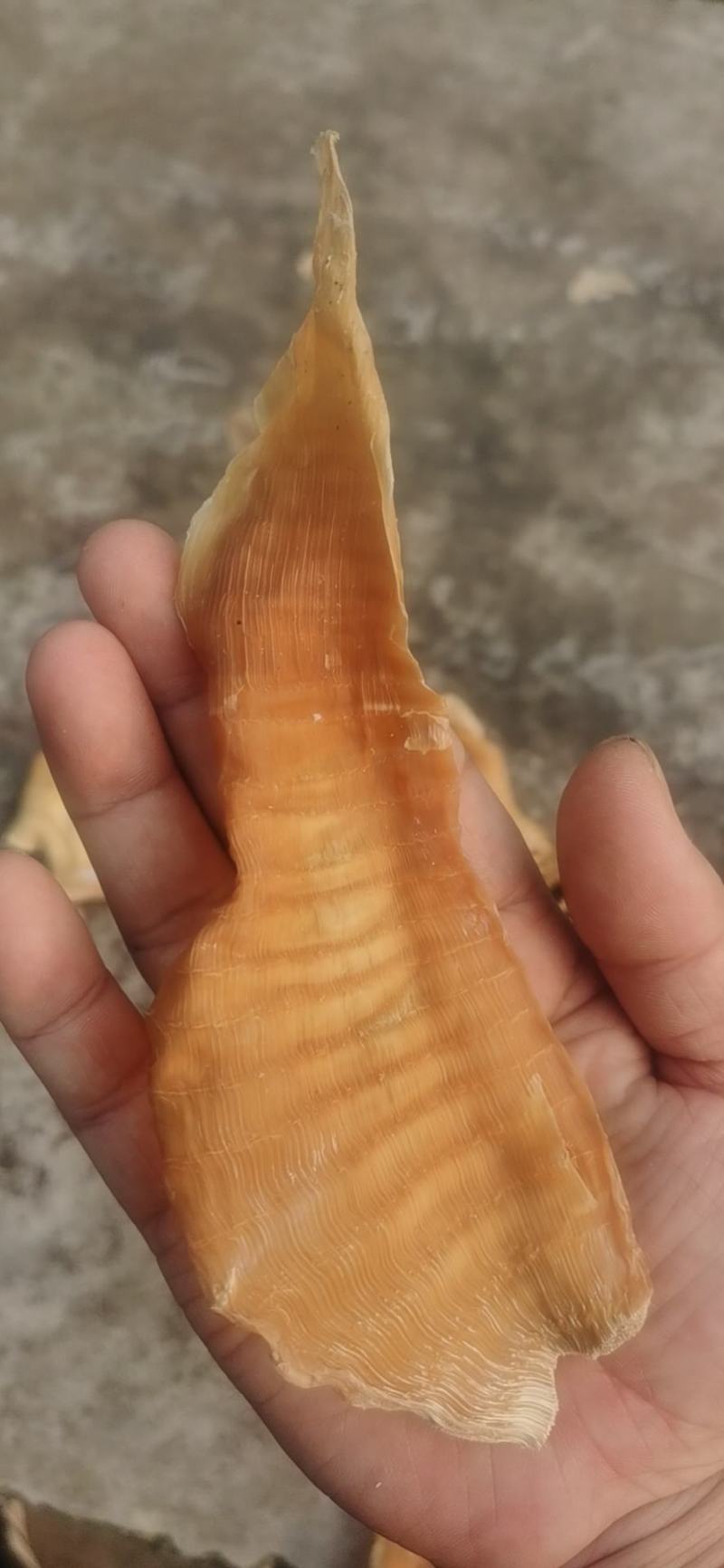 笋干全干切片嫩笋干片厂家清仓特价出包邮