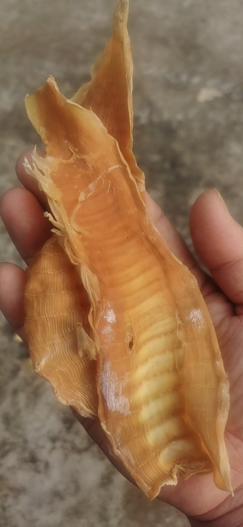 笋干全干切片嫩笋干片厂家清仓特价出包邮