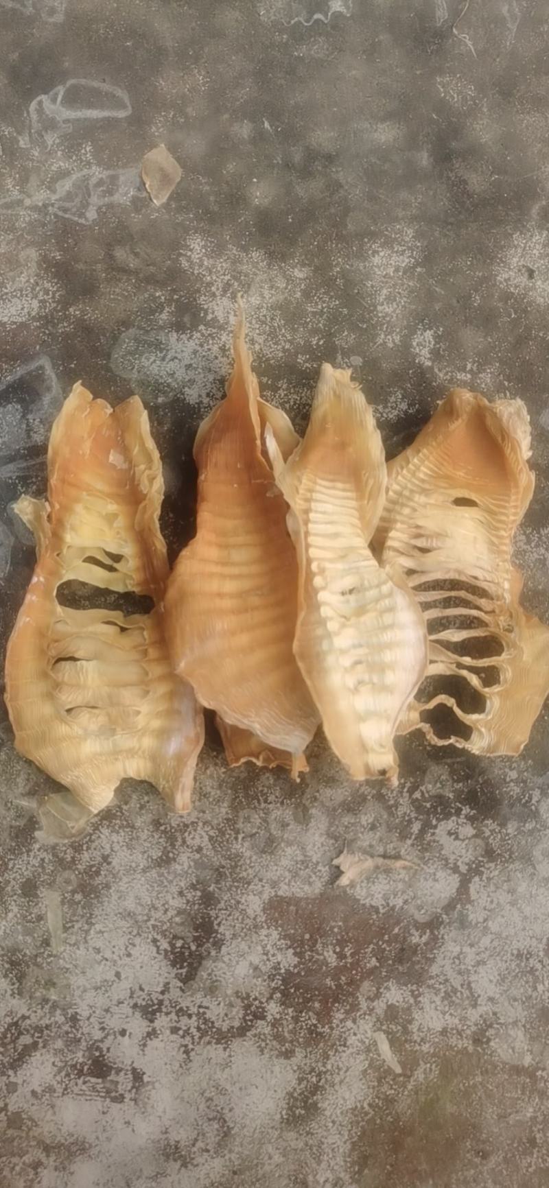 笋干全干切片嫩笋干片厂家清仓特价出包邮