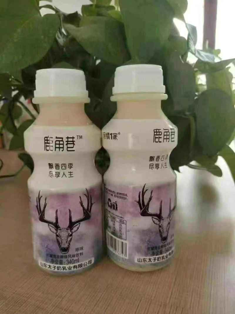 安徽提福建（达利园）乳酸菌6元山东提网红鹿角巷5.8元