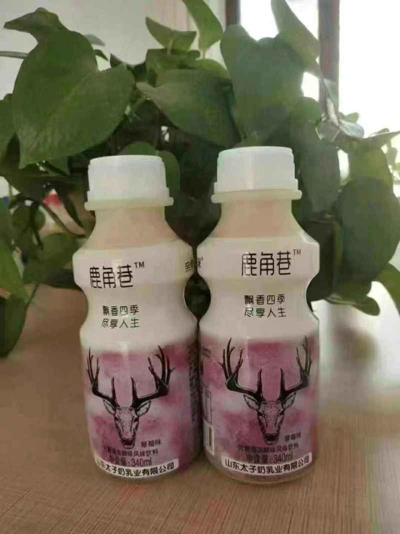 安徽提福建（达利园）乳酸菌6元山东提网红鹿角巷5.8元
