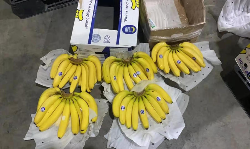 老人头菲律宾香蕉货源充足价格美丽全国发货！