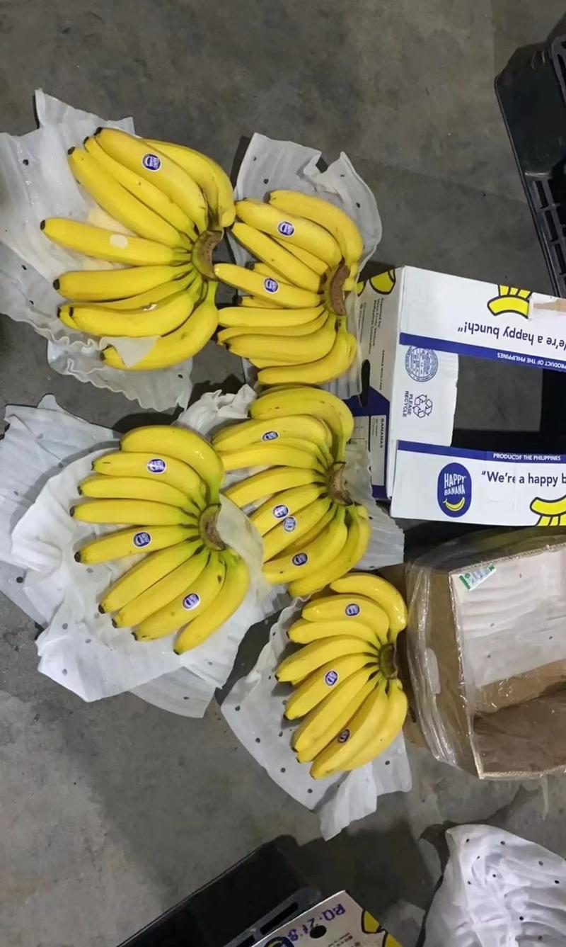 老人头菲律宾香蕉货源充足价格美丽全国发货！