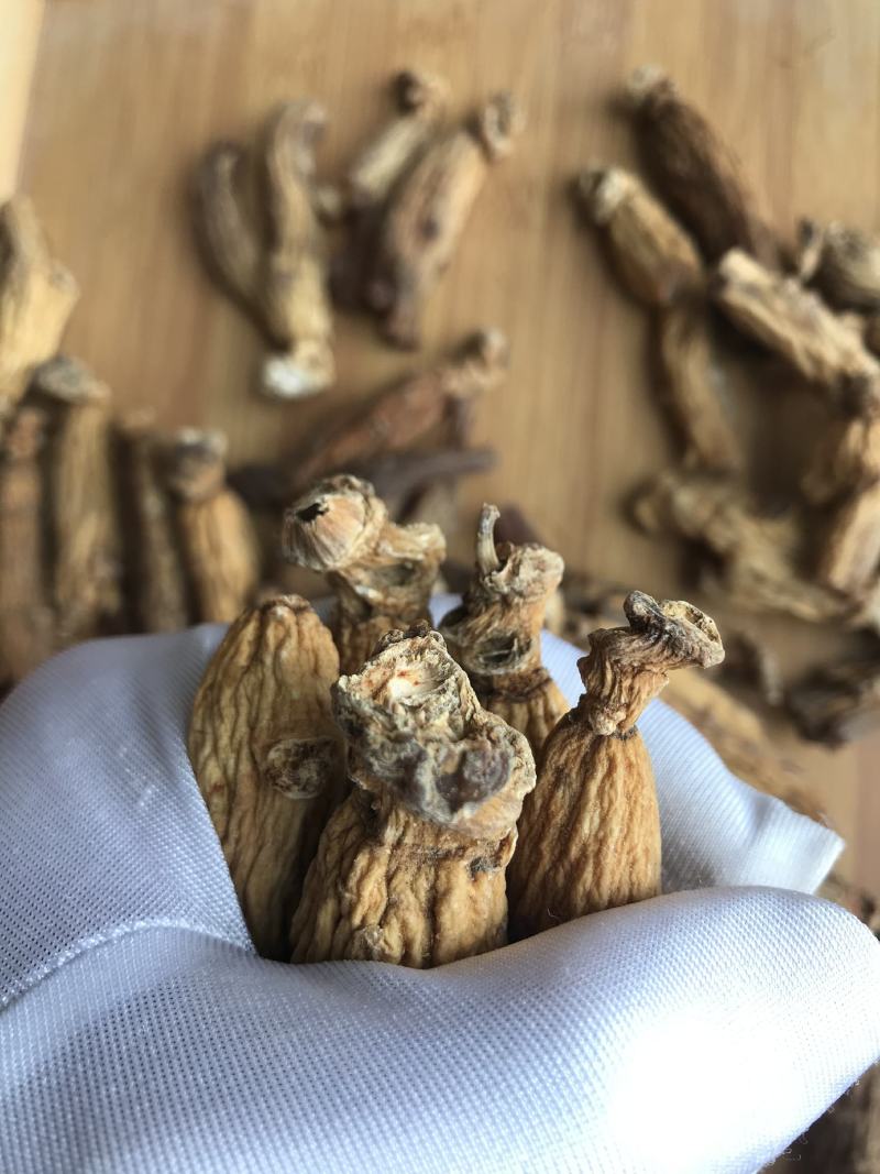 南韩进口高丽参菊花纹路深30支500克足干别直参