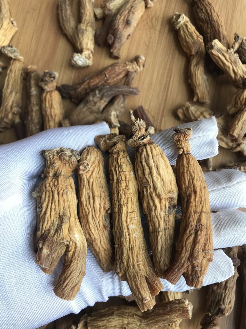 南韩进口高丽参菊花纹路深30支500克足干别直参