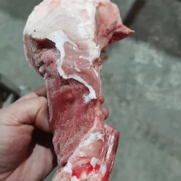 后棒骨！后棒骨！！！
