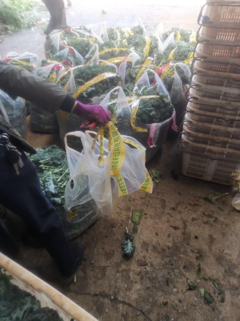 羽甘兰新鲜蔬菜沙拉，炸汁