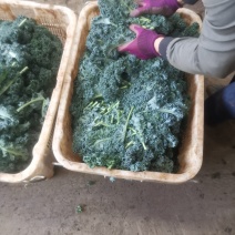 羽甘兰新鲜蔬菜沙拉，炸汁
