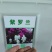 紫罗兰种子耐寒多年生阳台庭院园艺景观花海种植花卉种子