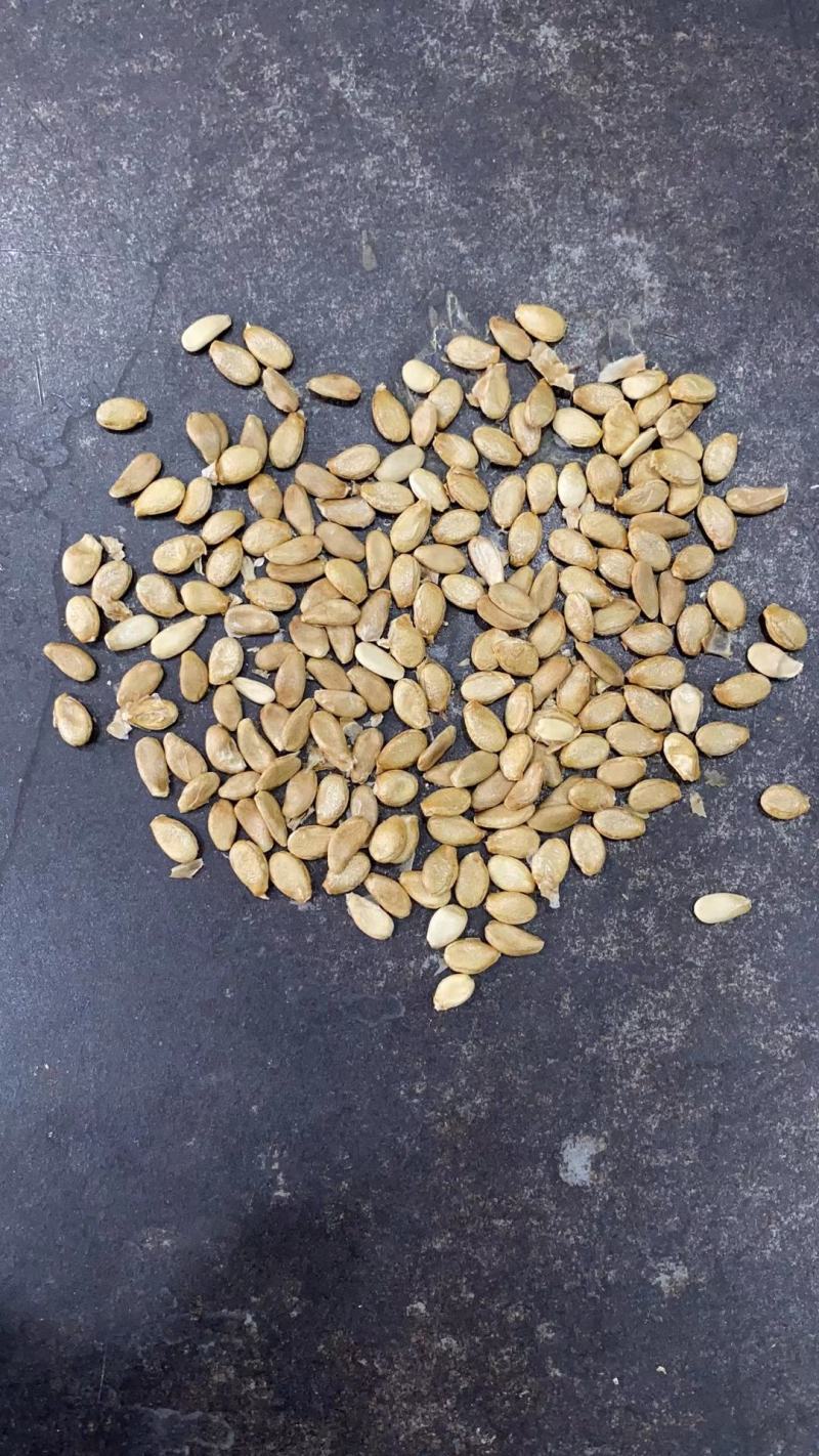手捻葫芦种籽小葫芦种子迷你手捻瓢文玩葫芦种子葫芦苗秧种子