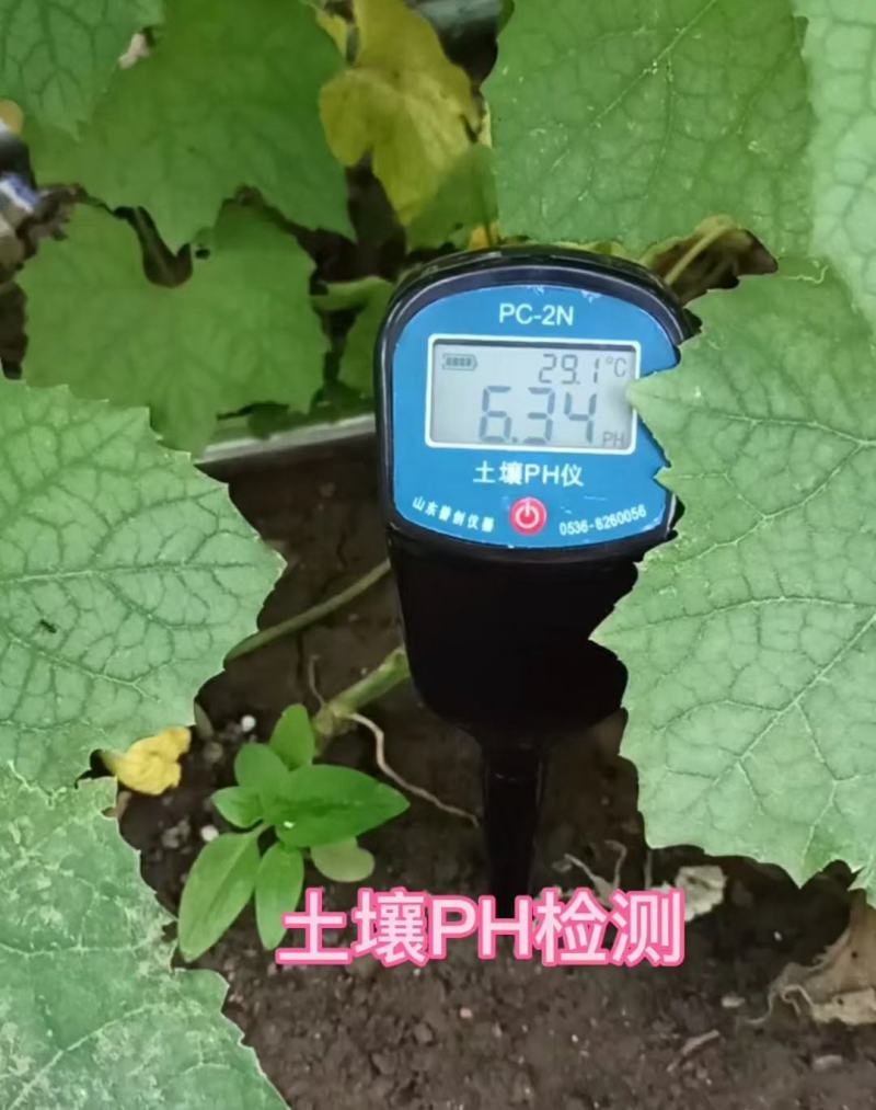 土壤数显PH计土壤酸碱度检测