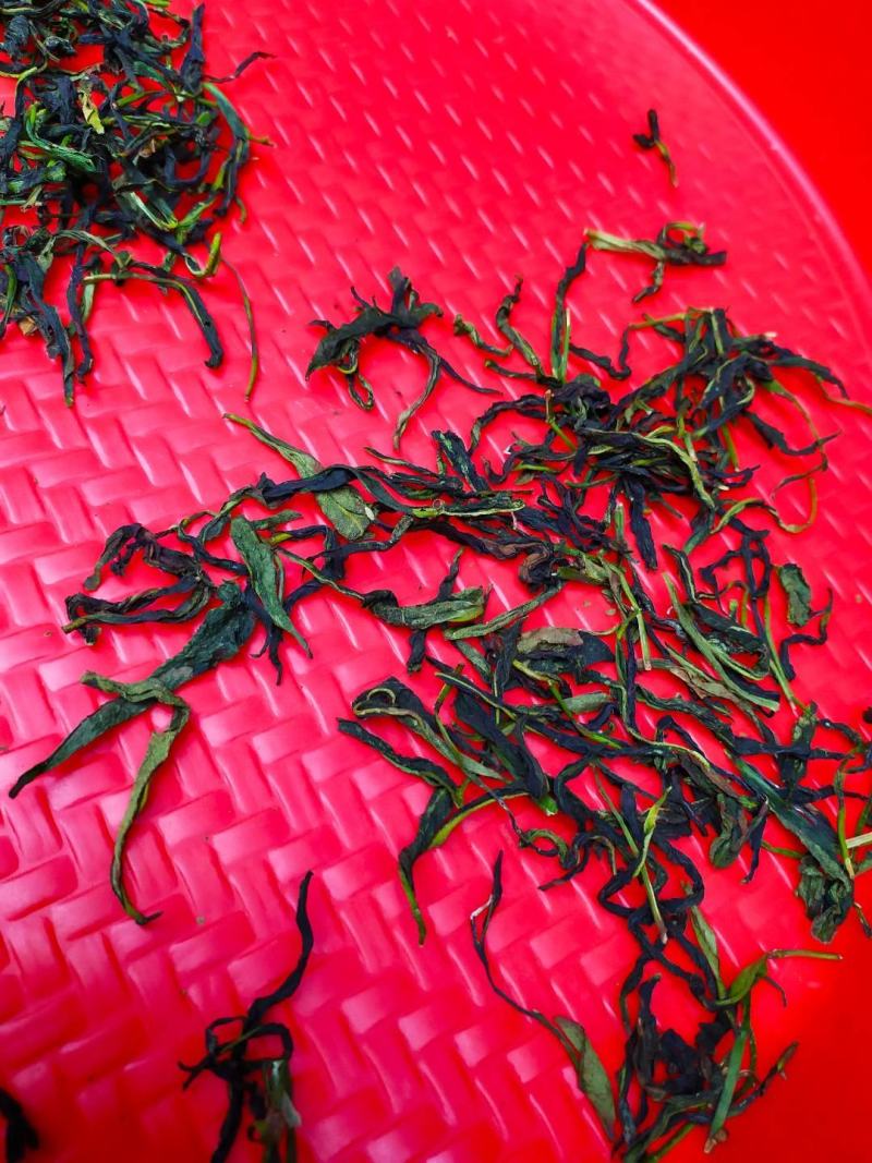 鸭屎香单枞茶潮州凤凰单枞茶高山单丛茶1斤生茶单枞鸭屎香茶