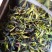 鸭屎香单枞茶潮州凤凰单枞茶高山单丛茶1斤生茶单枞鸭屎香茶