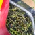 鸭屎香单枞茶潮州凤凰单枞茶高山单丛茶1斤生茶单枞鸭屎香茶