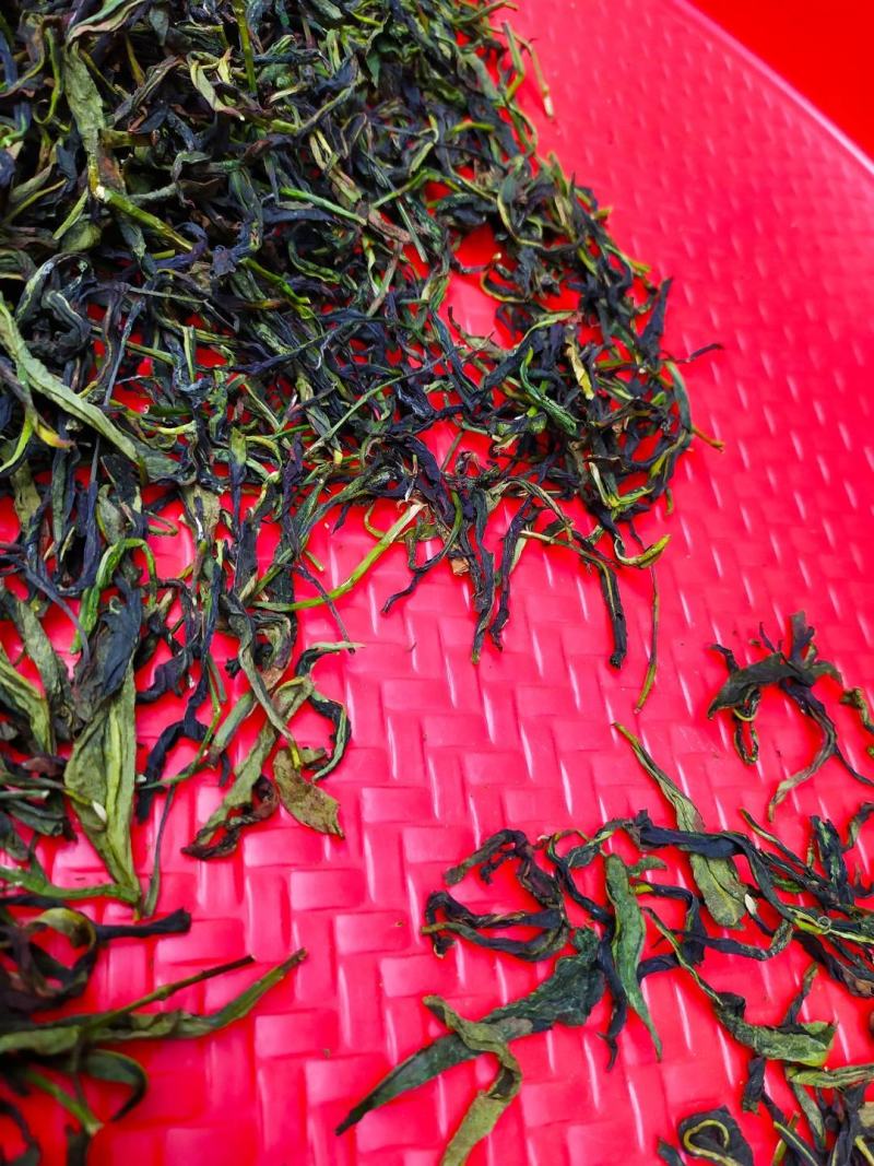 鸭屎香单枞茶潮州凤凰单枞茶高山单丛茶1斤生茶单枞鸭屎香茶