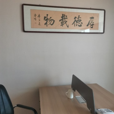 面粉次粉，五得利，益海，华龙，金沙河.