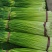 【精品】白冒蒜苔不加水的干苔70cm一手货源产地供应
