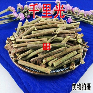 云南野生中药材千里光九里光九里明一件包邮