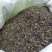 高山茶叶惠来土山茶潮汕八仙茶金牡丹茶叶高山茶福建新茶叶心