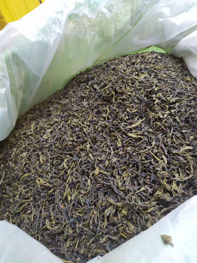 高山茶叶惠来土山茶潮汕八仙茶金牡丹茶叶高山茶福建新茶叶心