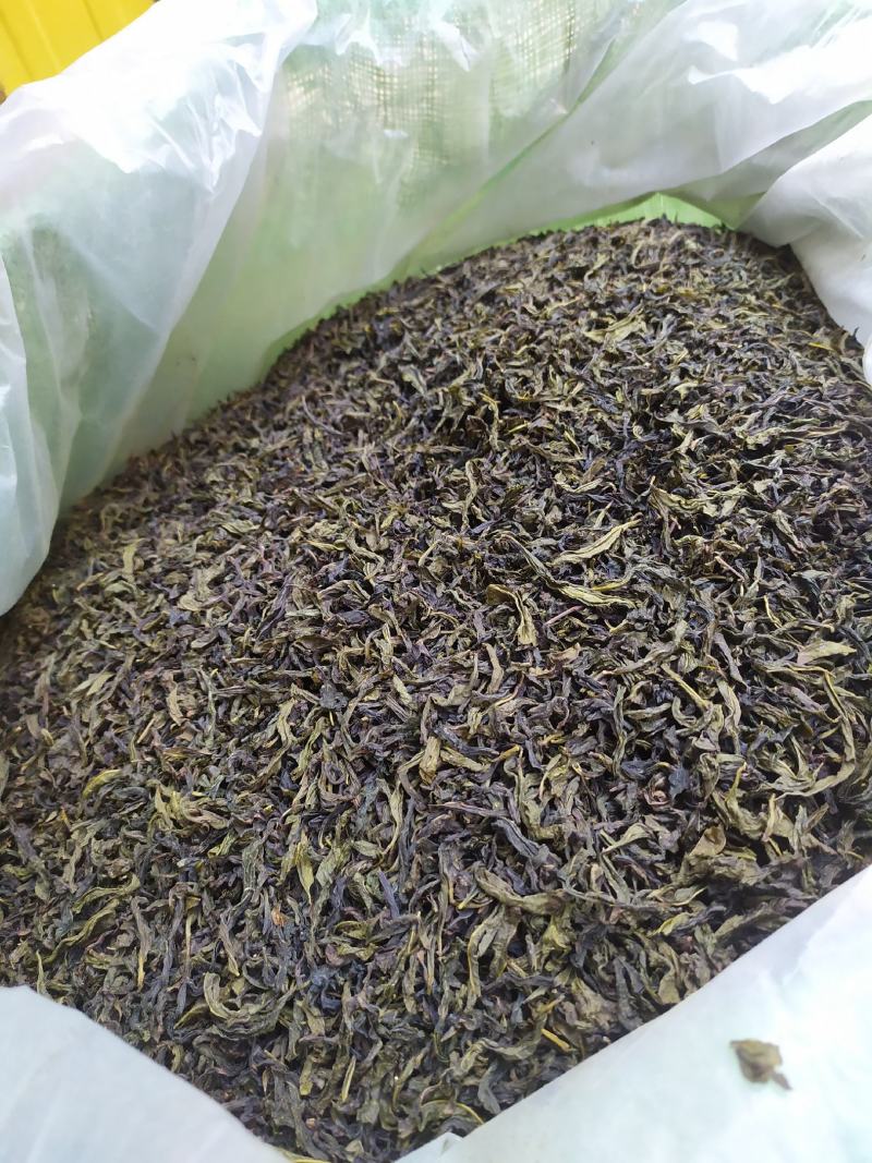 高山茶叶惠来土山茶潮汕八仙茶金牡丹茶叶高山茶福建新茶叶心