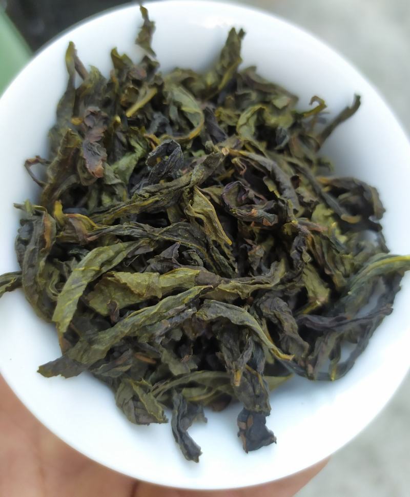高山茶叶惠来土山茶潮汕八仙茶金牡丹茶叶高山茶福建新茶叶心