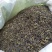 高山茶叶惠来土山茶潮汕八仙茶金牡丹茶叶高山茶福建新茶叶心