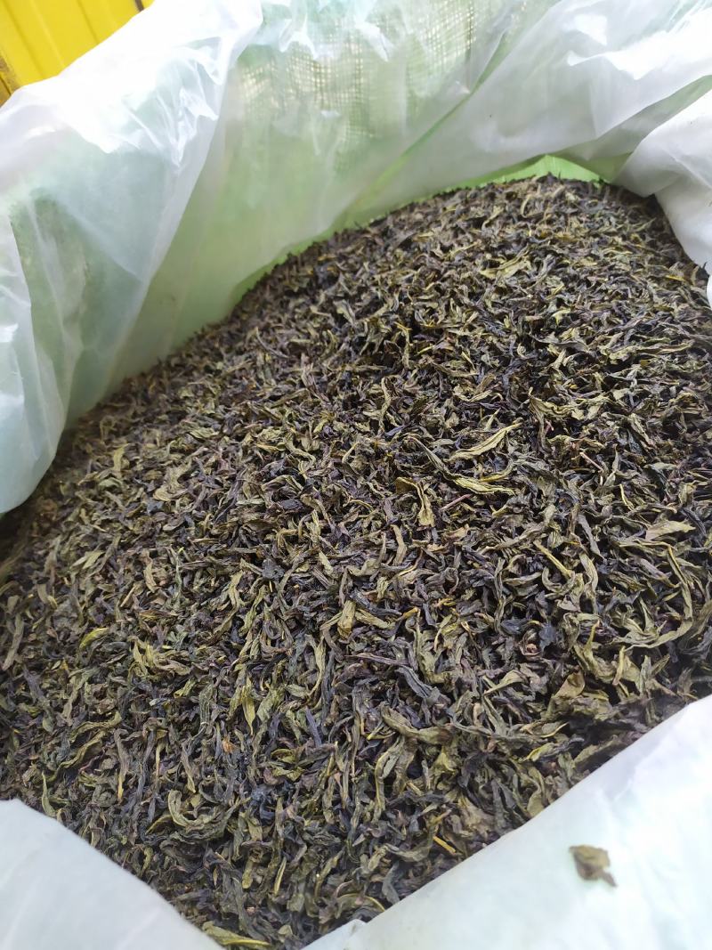 高山茶叶惠来土山茶潮汕八仙茶金牡丹茶叶高山茶福建新茶叶心