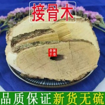 野生中药材接骨木公道老扦扦活马尿骚大接骨丹包邮